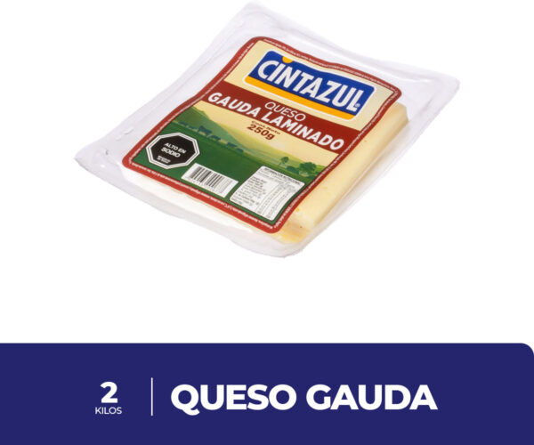 Queso Gauda Laminado 250gr